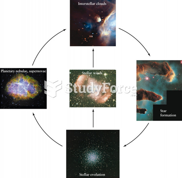 A Summary of Stellar Evolution