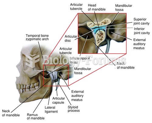 Anatomy of the Temporomandibular Joint (Sagittal Section)