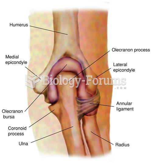 Anatomy of the Elbow Joint (Posterior View, Right Elbow)