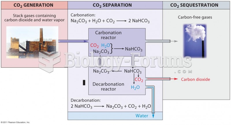 An Example of Carbon Capture Technology