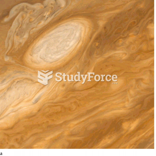 Close-ups of Jupiter’s Atmosphere