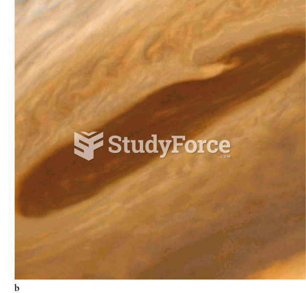 Close-ups of Jupiter’s Atmosphere