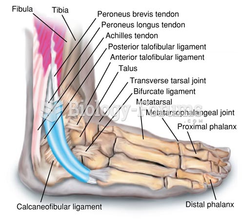 Ligaments of the Ankle, Lateral View