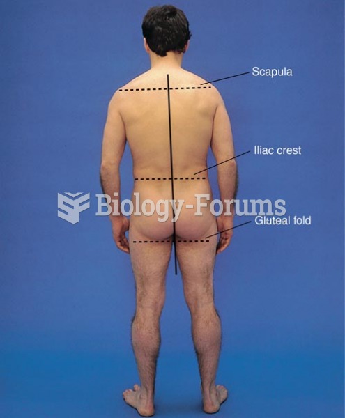 Alignment of Spinal Landmarks, Posterior View