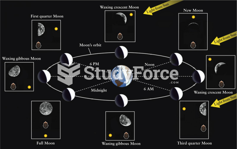 The Phases of the Moon