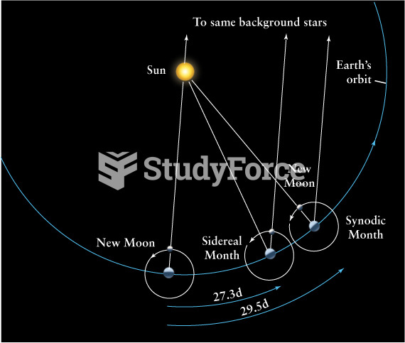 The Sidereal and Synodic Months