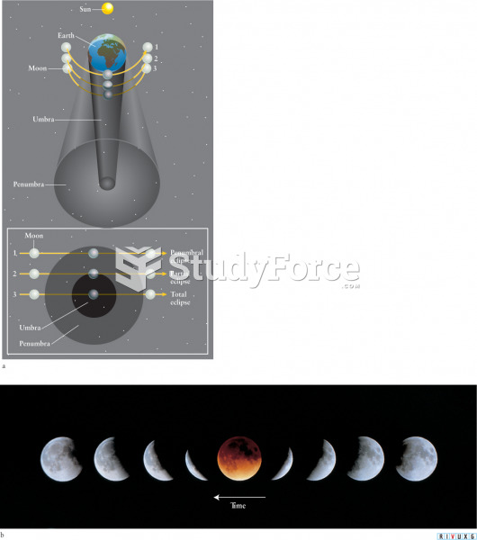 Three Types of Lunar Eclipses