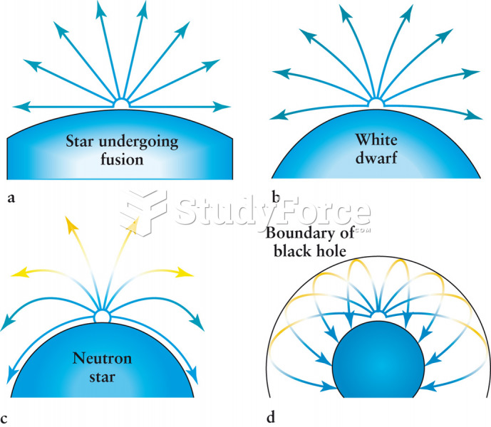 Trapping of Light by a Black Hole