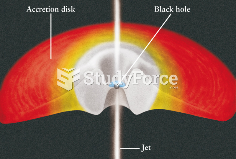 Jets Created by a Black Hole in a Binary System