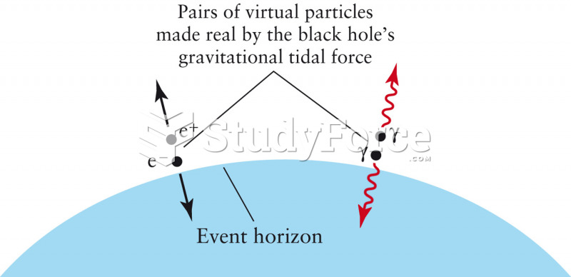 Evaporation of a Black Hole