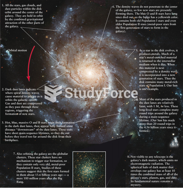 Dynamics of a Grand-Design Spiral Galaxy