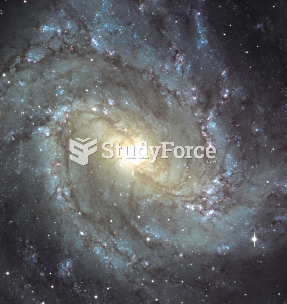 Barred Spiral Galaxies