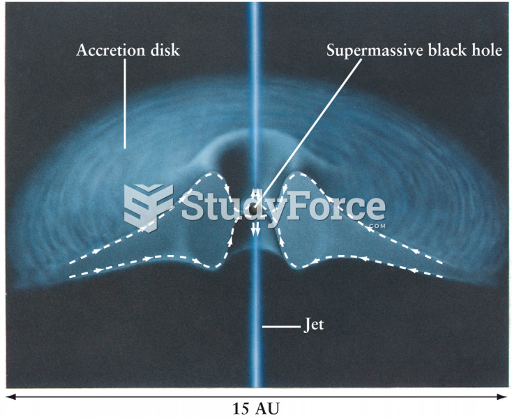 Supermassive Black Holes as Engines for Galactic Activity