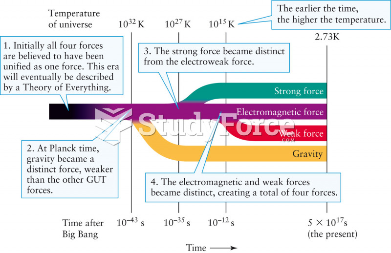 Unification of the Four Forces