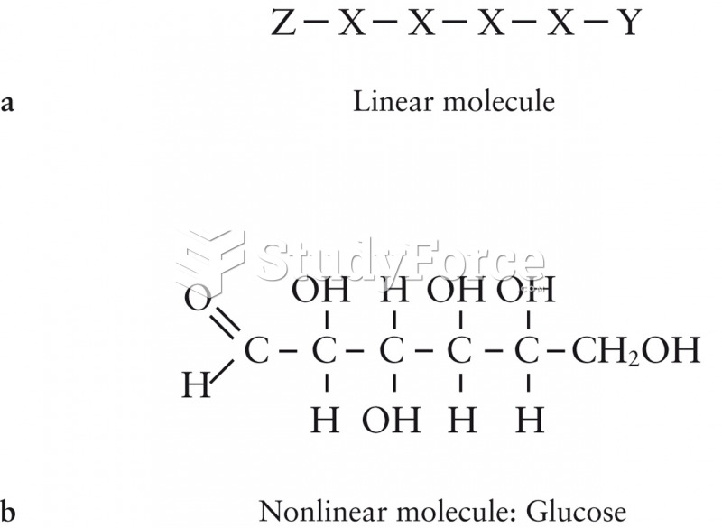 Creating Complex Molecules