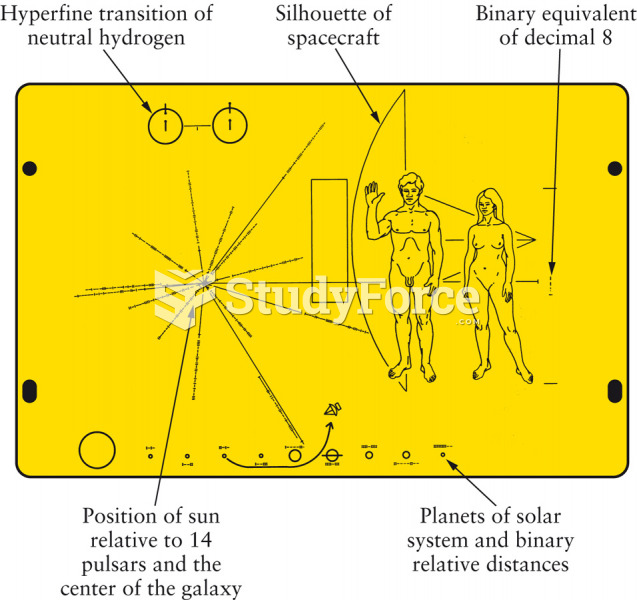 Human Memorabilia in Space