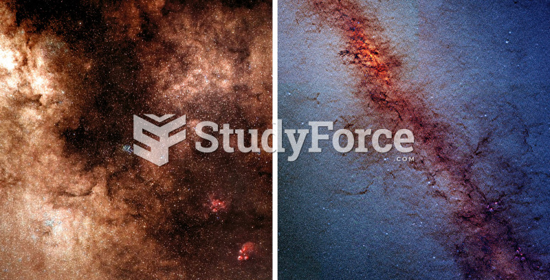 Views of the Milky Way’s Central Regions