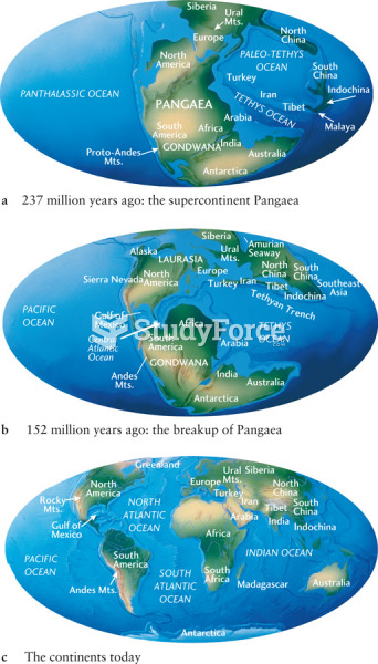 The Supercontinent Pangaea