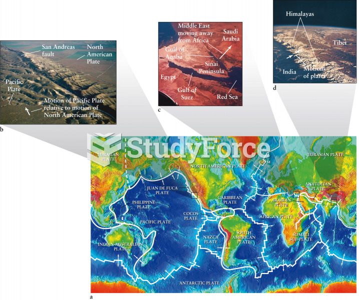 6-8 Earth’s Major Tectonic Plates