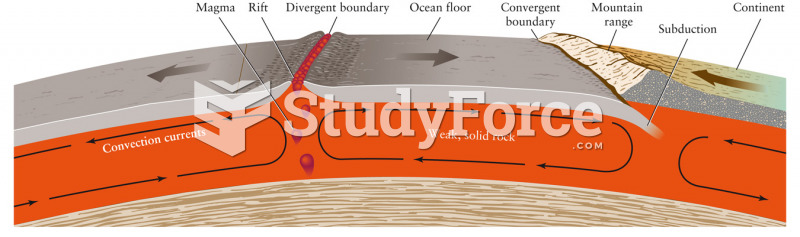 Convection and the Mechanism of Plate Tectonics