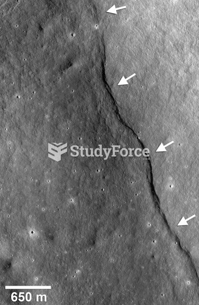 The Moon’s Interior and Its Effects on the Moon’s Surface