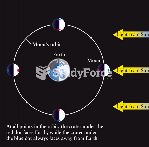 Synchronous Rotation of the Moon