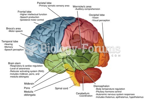 The Locations and Functions of the Cerebral Lobes, Diencephalon, Cerebellum, and Brain Stem