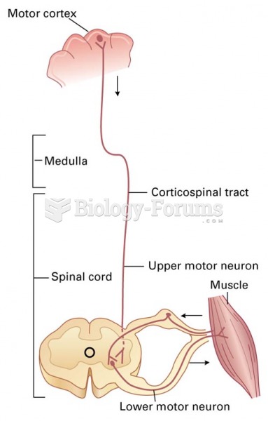 Motor Pathways of the CNS