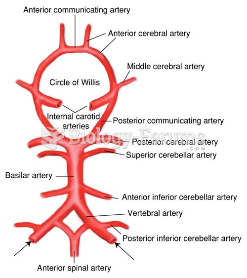 Major Arteries of the Brain