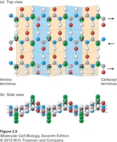 The b sheet, another common secondary structure in proteins