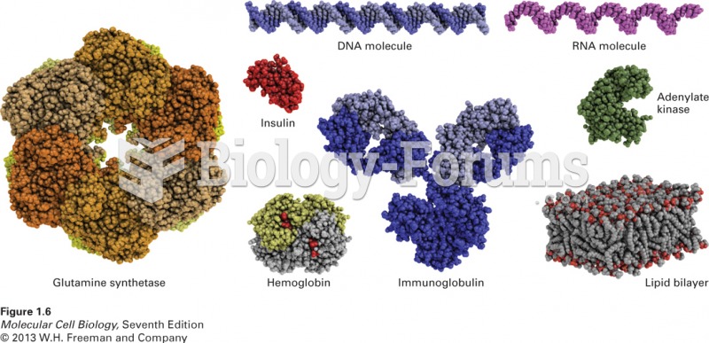 Models of some representative proteins drawn to a common scale