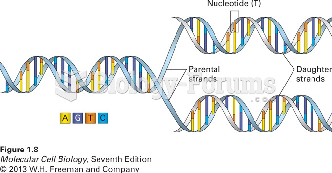 DNA consists of two complementary strands wound around each other to form