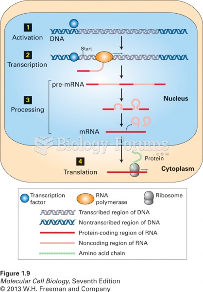 The information coded in DNA