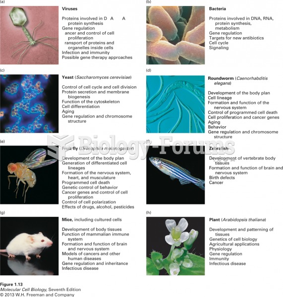 Each experimental organism used in cell biology has advantages for certain types