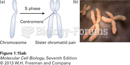 The three types of cytoskeletal filaments