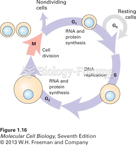 the four stages of the cell cycle