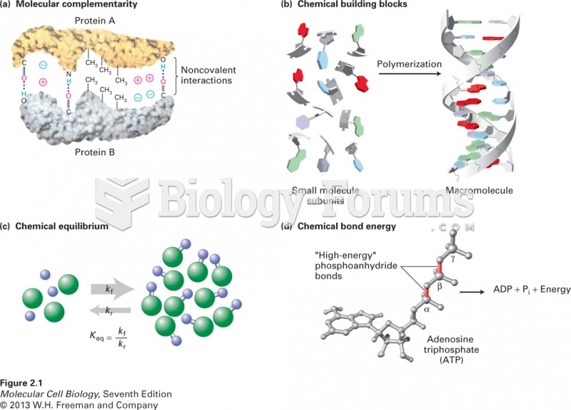 Chemistry of life: four key concepts