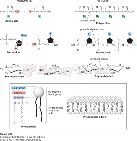 Overview of the cell’s principal chemical building blocks