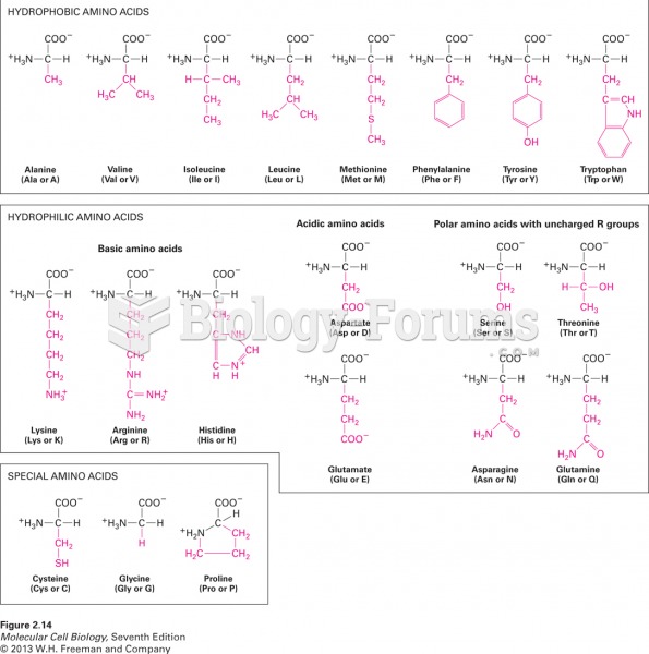 The 20 common amino acids used to build proteins