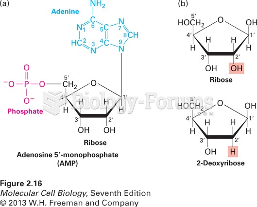 Common structure of nucleotides