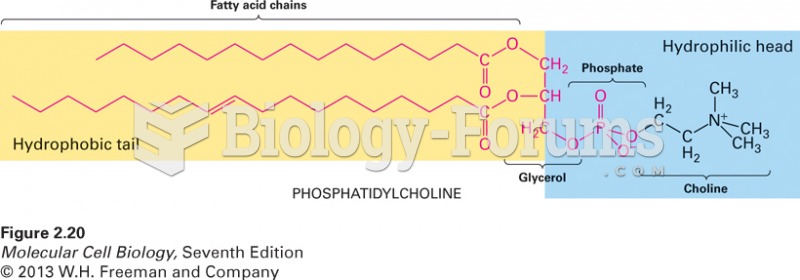 Phosphatidylcholine, a typical phosphoglyceride