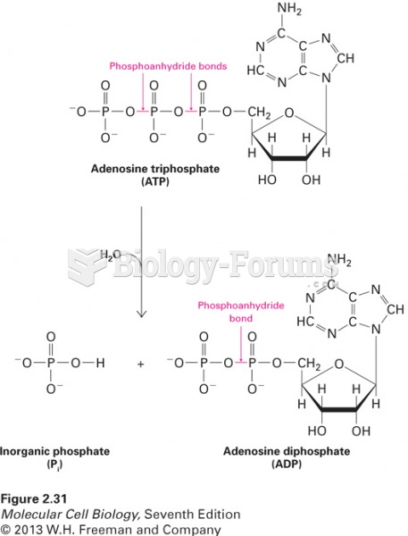 Hydrolysis of adenosine triphosphate (ATP)
