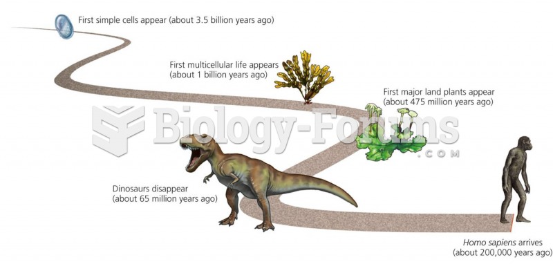 The span of Homo sapiens sapiens’ time on earth