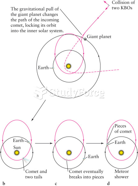 Transformation and Evolution of a Long-Period Comet