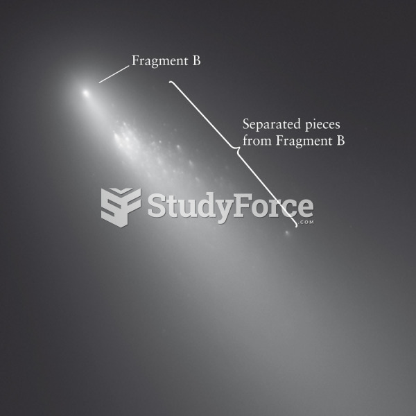 The Fragmentation of Comet Schwassmann-Wachmann-3