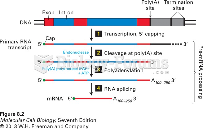Overview of mRNA processing in eukaryotes.