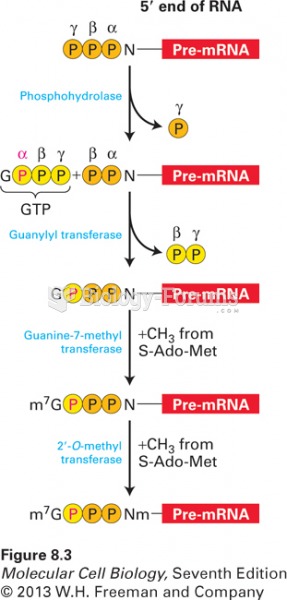 Synthesis of 5’-cap on eukaryotic mRNAs