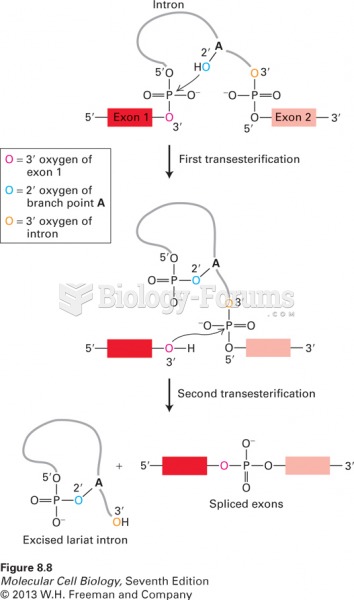 Two transesterification reactions that result in splicing of exons in pre-mRNA