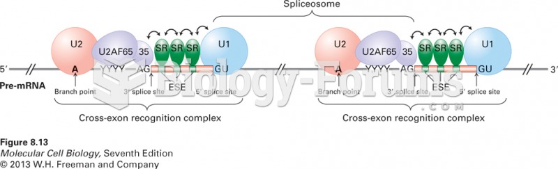 Exon recognition through cooperative binding of SR proteins and splicing factors