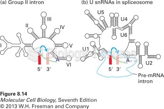 Comparison of group II self-splicing introns and the spliceosome